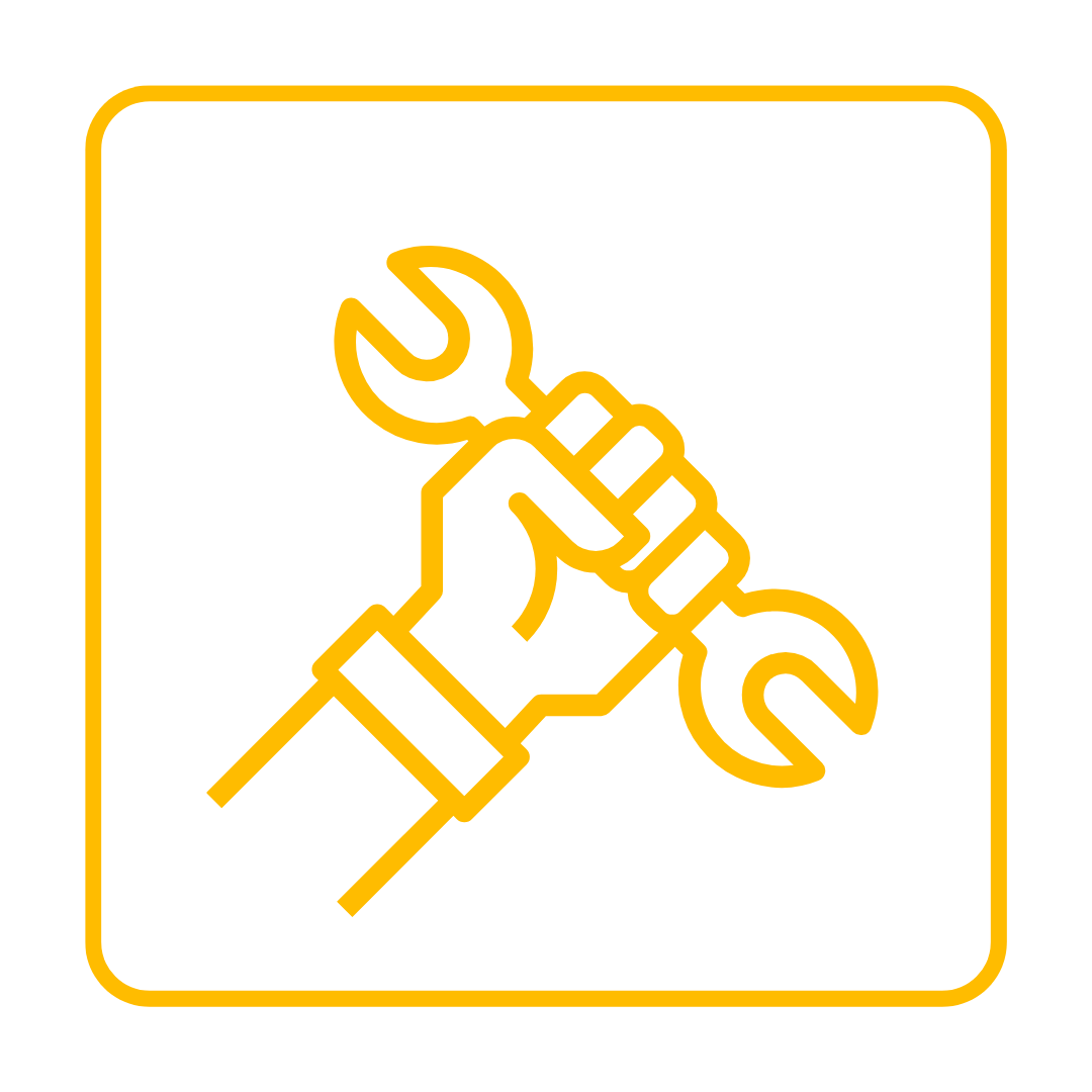 81